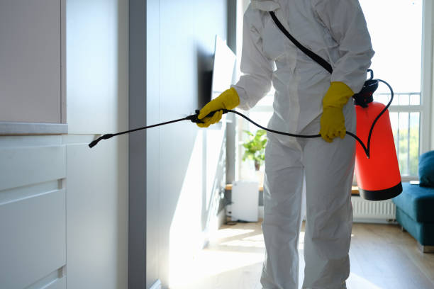 Best Emergency Mold Remediation in New Glarus, WI