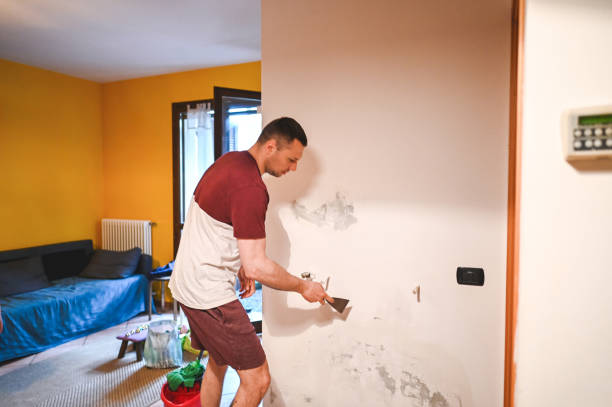 Best Health and Safety Mold Remediation in New Glarus, WI